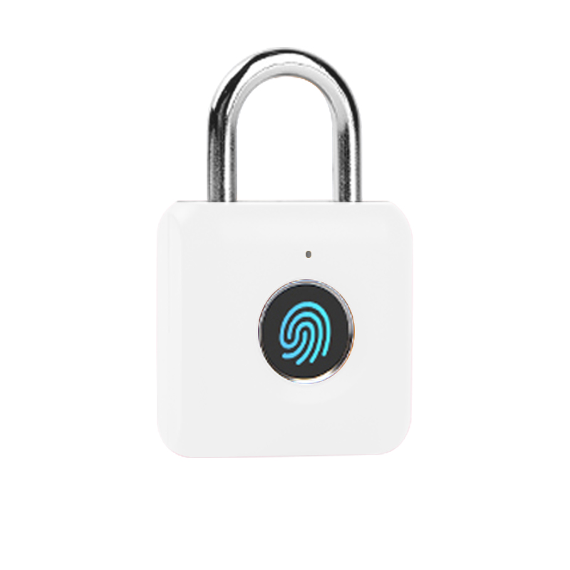 Portable Bluetooth Smart Padlock Anti-thief Lock Cylinder for Cabinet Travel Case Drawer Safety Security Lock IPX3 Waterproof